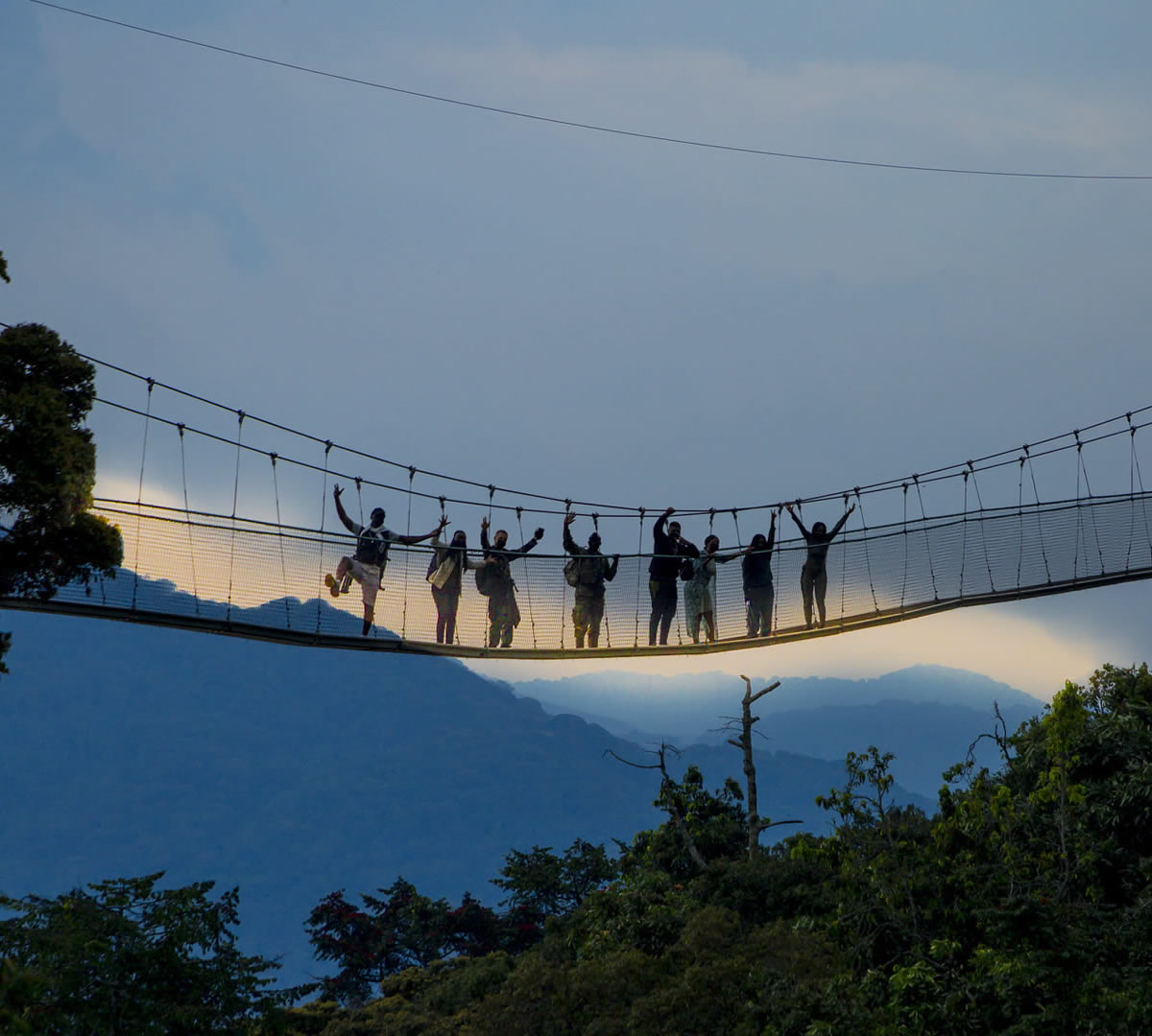 nyungwe forest canopy walk
