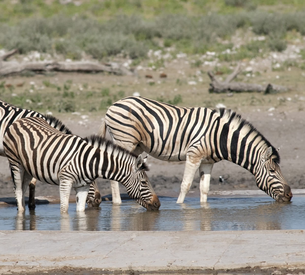 lake mburo national park