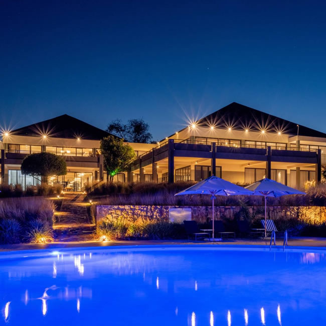 10 Days Gorillas in the Mist