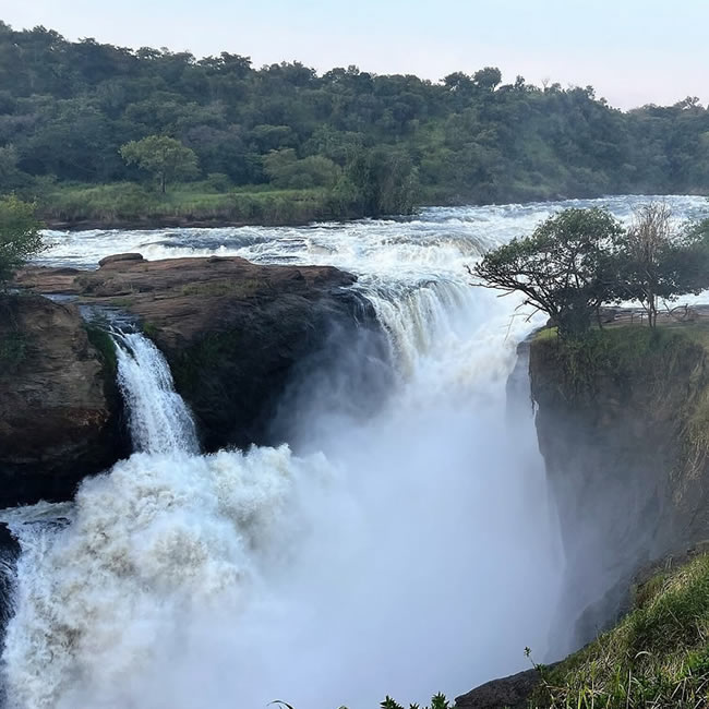 11 Days Best of Uganda Safaris