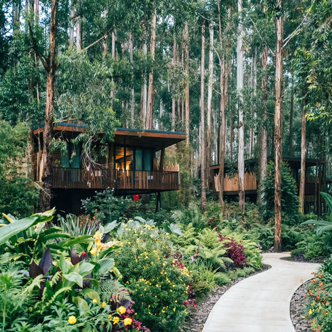 11 Days Grasslands, Savannahs & Primates