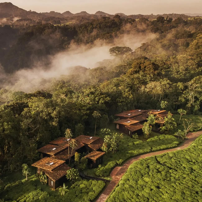 12 Days Legacy Primate Expedition