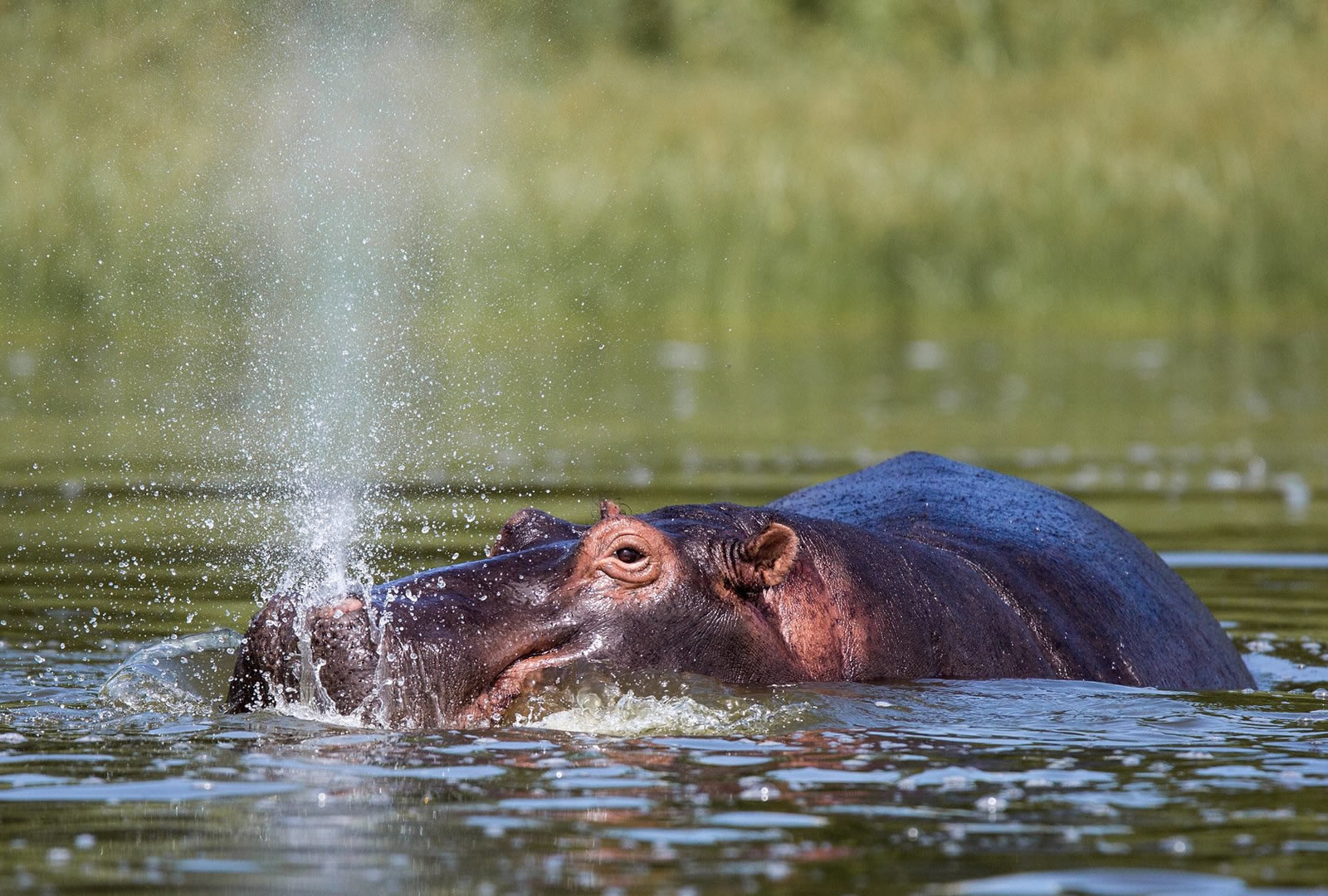 8 Days Scenic Rwanda 